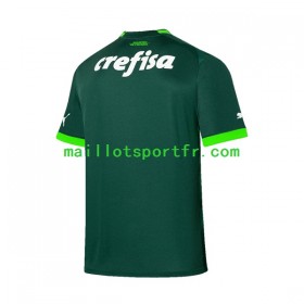 Maillot de Foot Palmeiras Domicile 2023/24